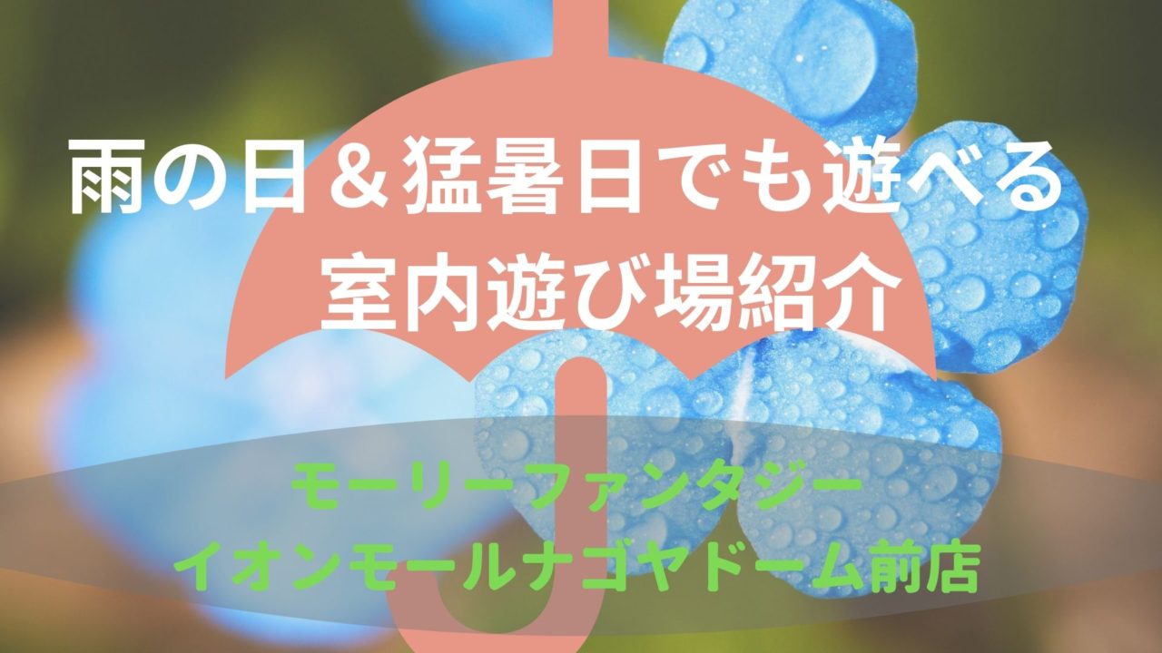 雨の日 猛暑日でも遊べる 名古屋室内遊び場紹介 モーリーファンタジー ナゴヤドーム前店 しくじりママ後継者のブログ