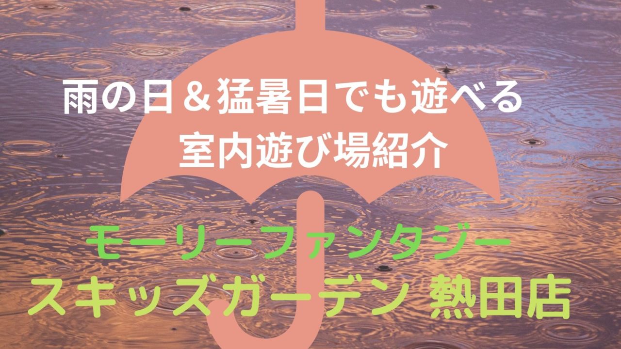 雨の日でも遊べる名古屋の室内遊び場紹介 スキッズガーデン熱田店 しくじりママ後継者のブログ